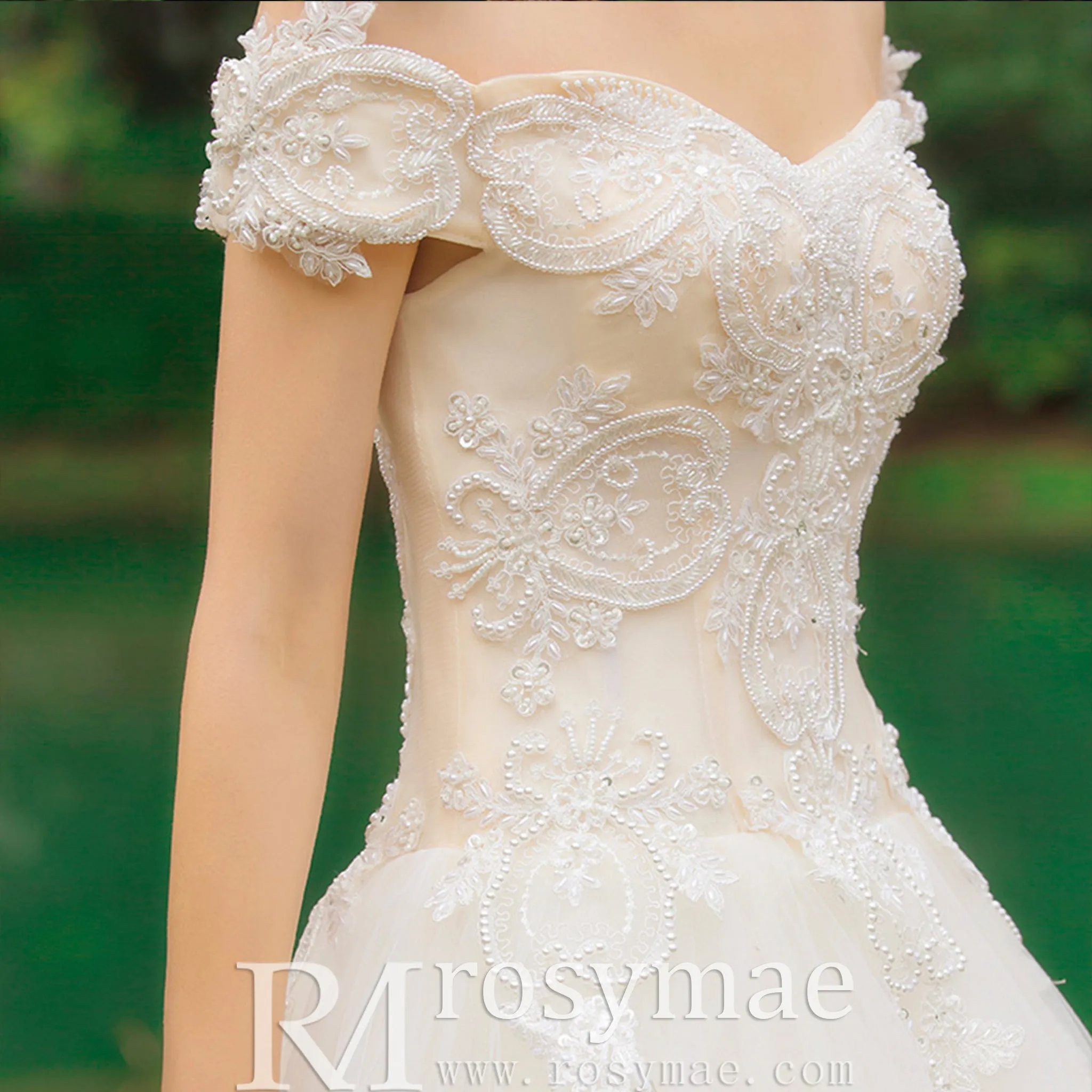 Ball Gown Tulle Lace Wedding Dress with Off the Shoulder
