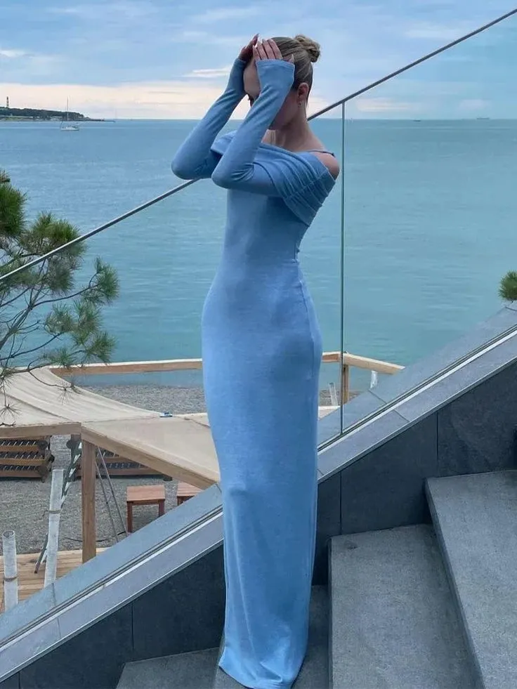 Blue Off Shoulder Long Sleeves Sheath Long Party Dress Evening Dress, D273