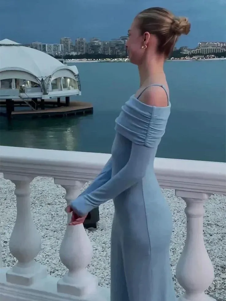 Blue Off Shoulder Long Sleeves Sheath Long Party Dress Evening Dress, D273