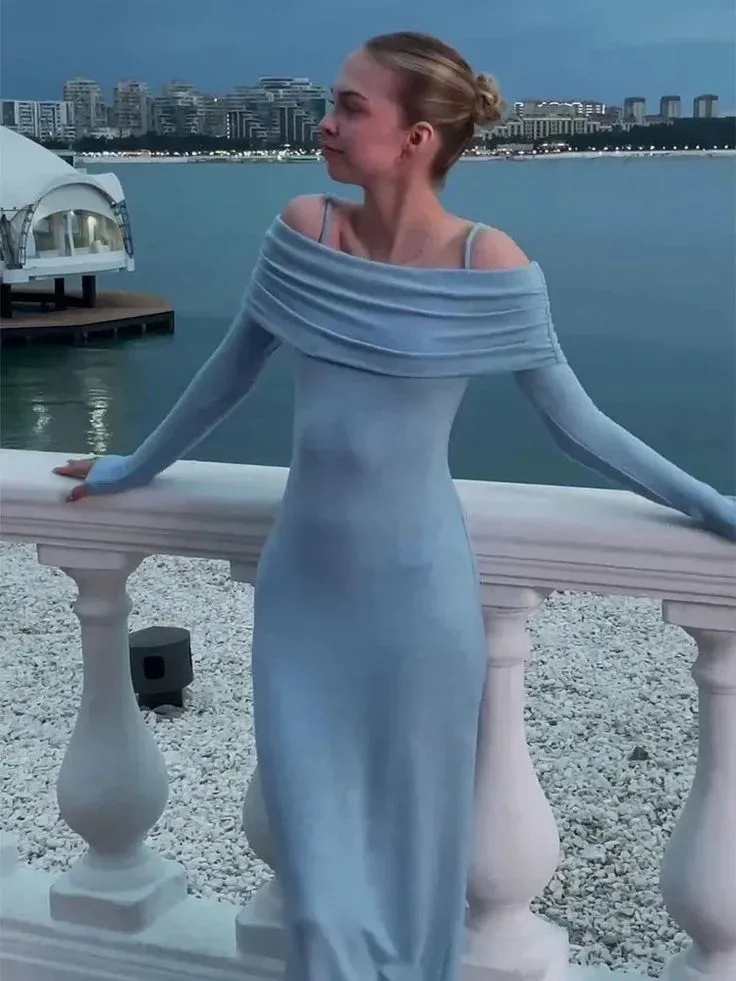 Blue Off Shoulder Long Sleeves Sheath Long Party Dress Evening Dress, D273