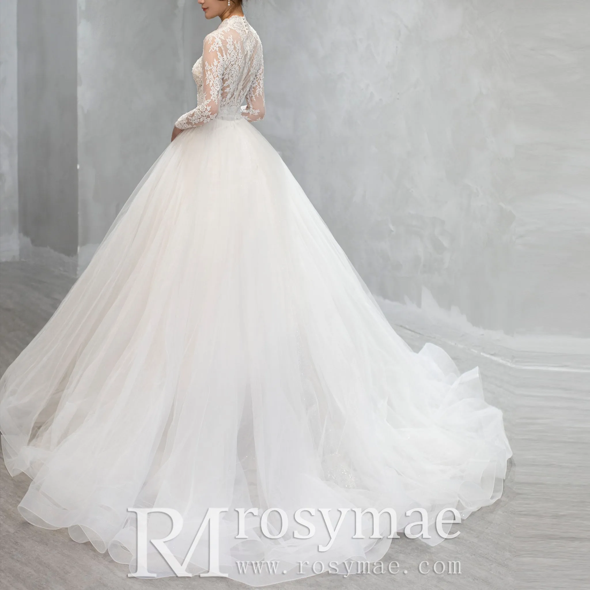 Deep V & Plunge Neckline Wedding Dress with Long Sleeve