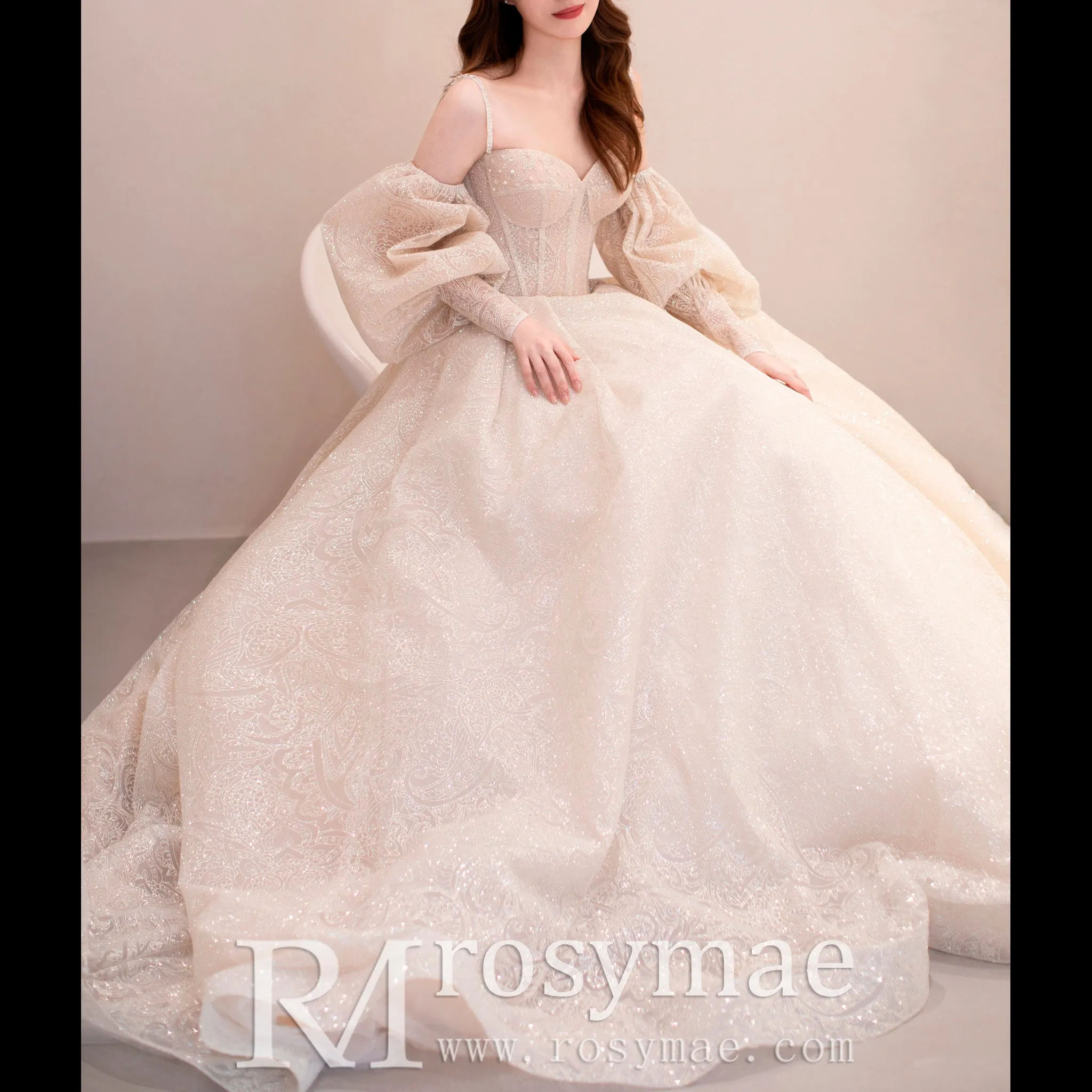 Glittery Long Lantern Sleeves Ball Gown Wedding Dress