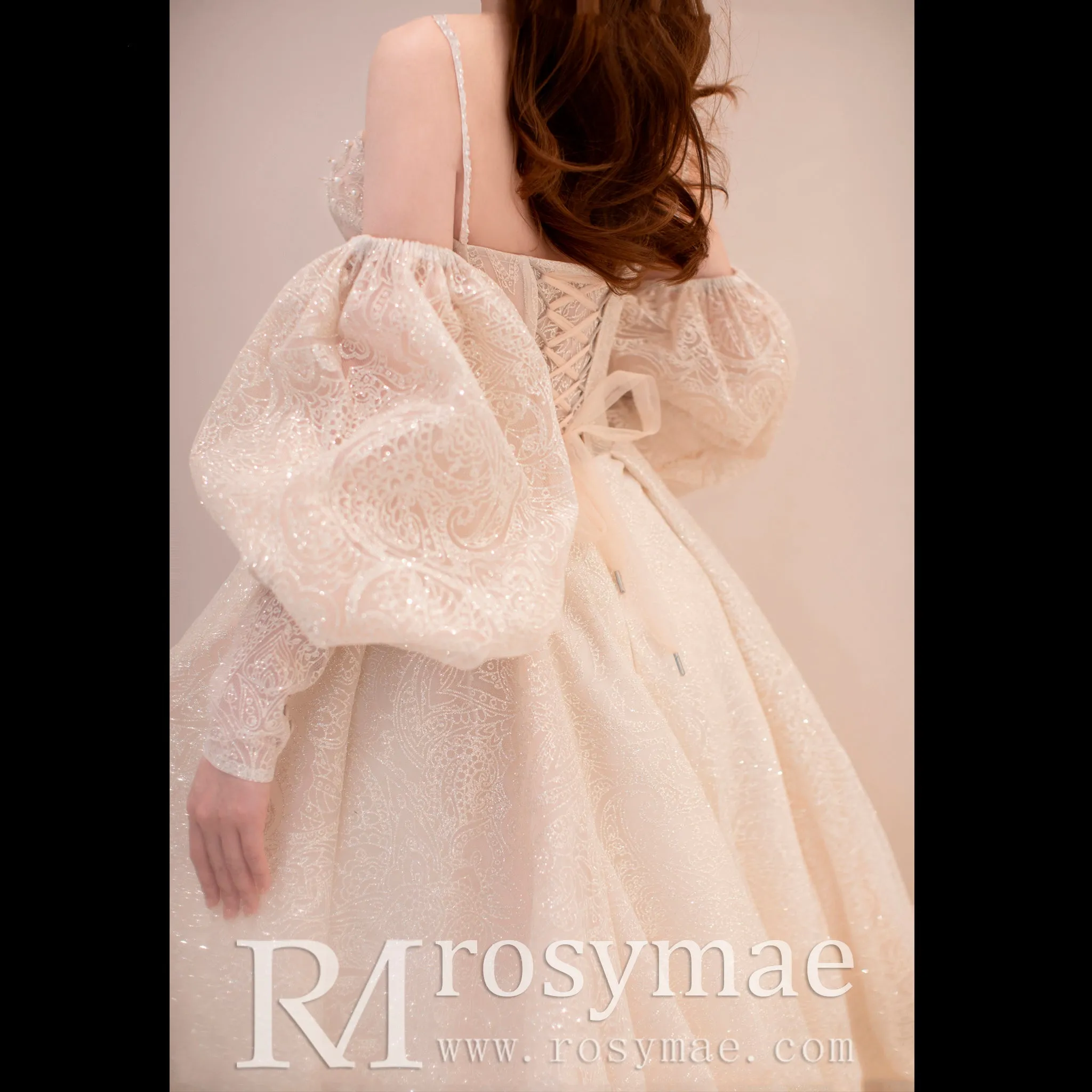 Glittery Long Lantern Sleeves Ball Gown Wedding Dress