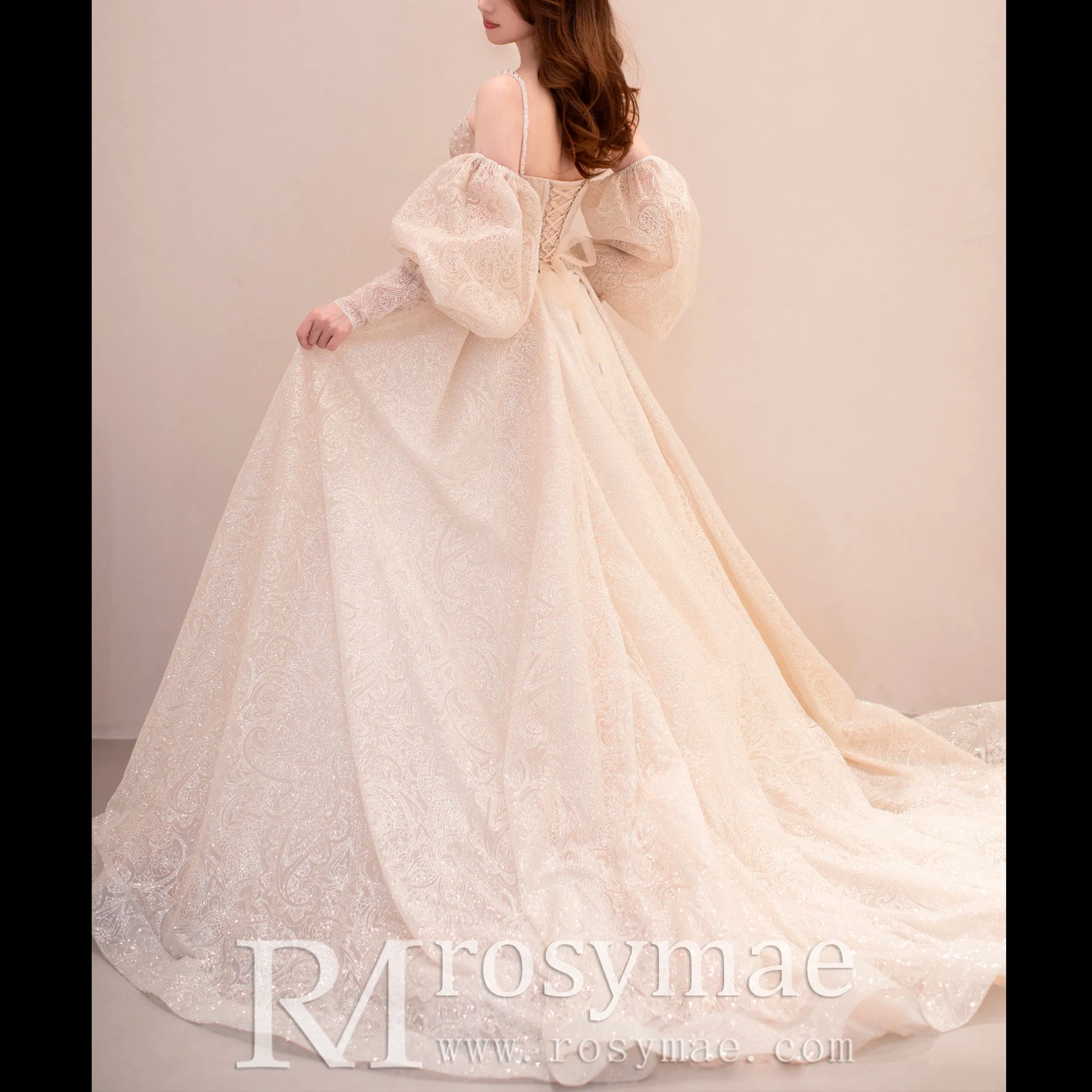 Glittery Long Lantern Sleeves Ball Gown Wedding Dress