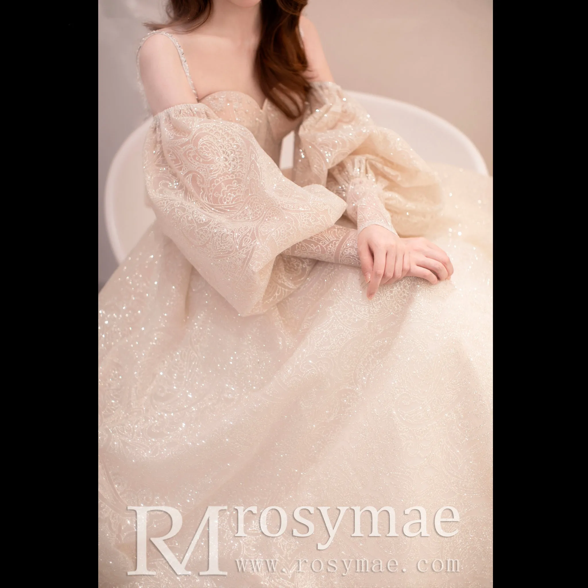 Glittery Long Lantern Sleeves Ball Gown Wedding Dress