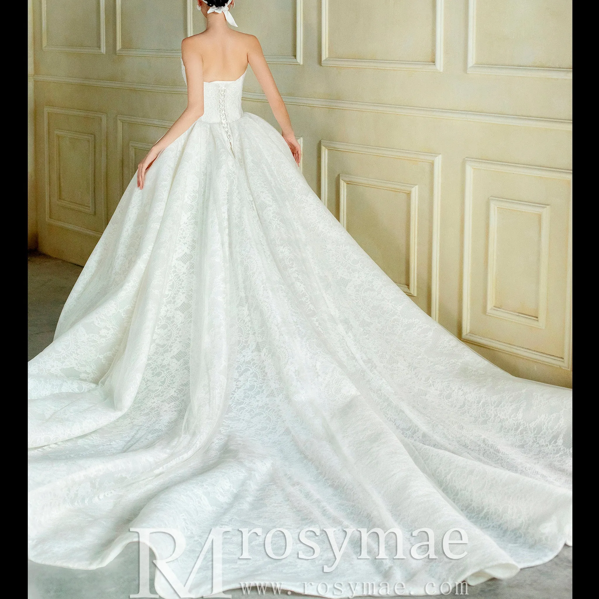 Puffy Skirt Ball Gown Lace Wedding Dress with V Neckline