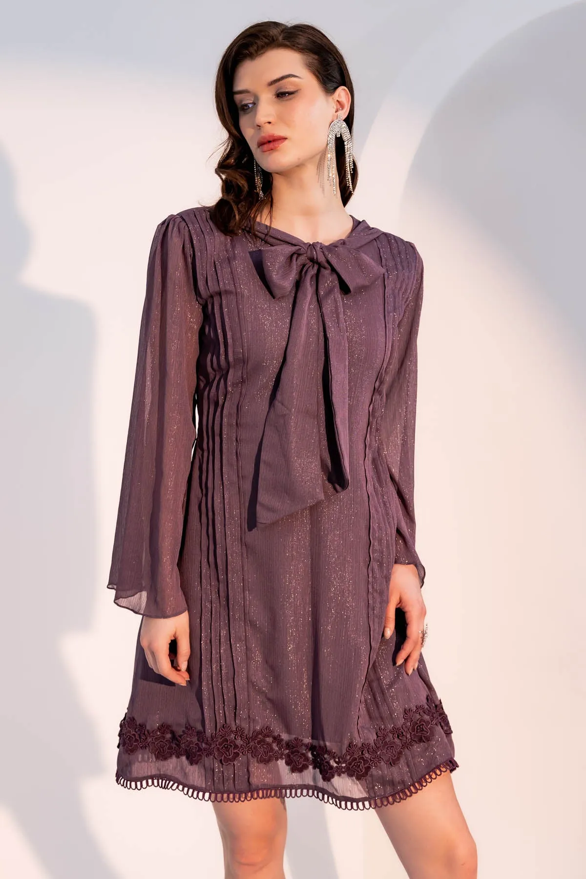 Purple Lace Embellished Dress