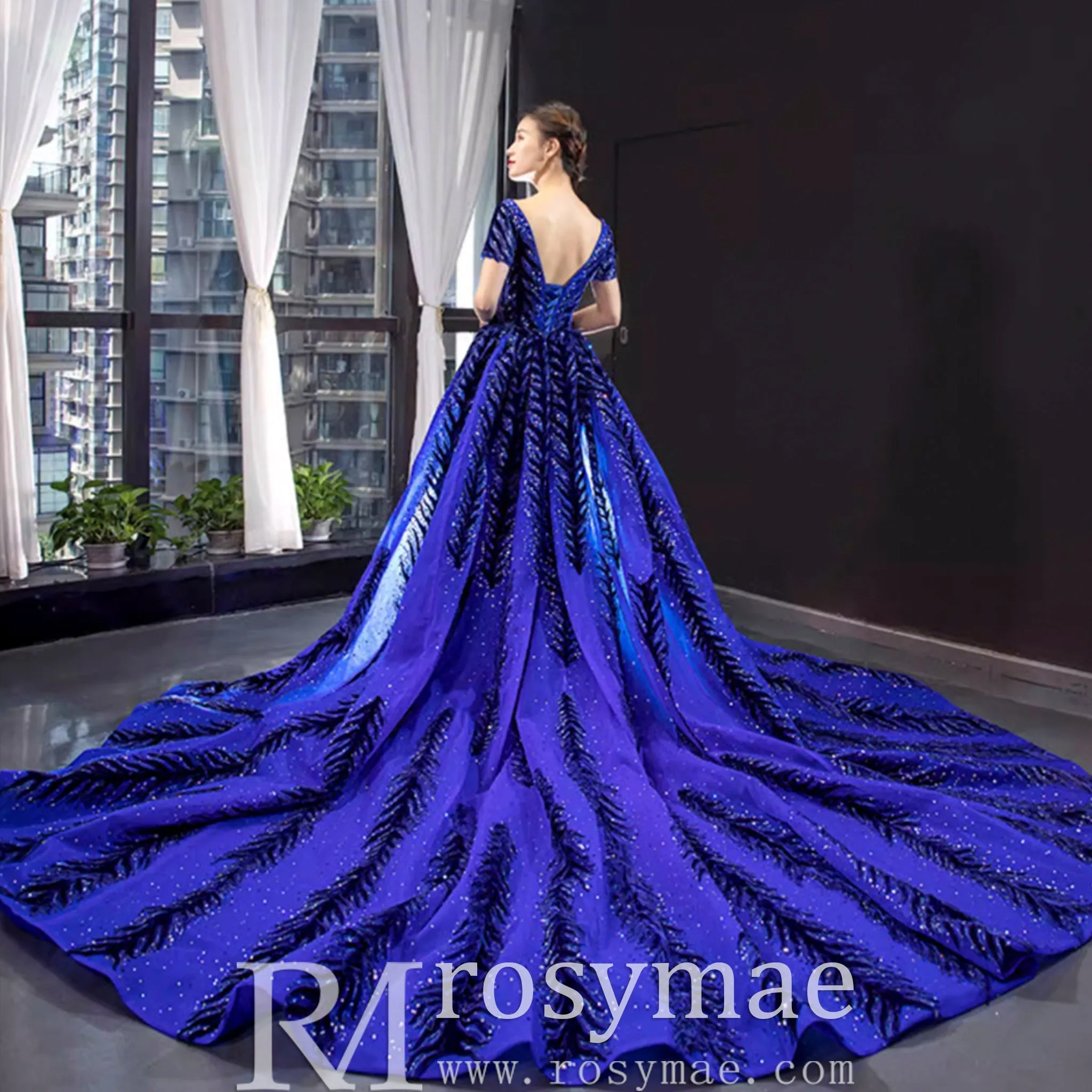 Royal Blue Sparkly Prom Dress Evening Gown with Detachable Train