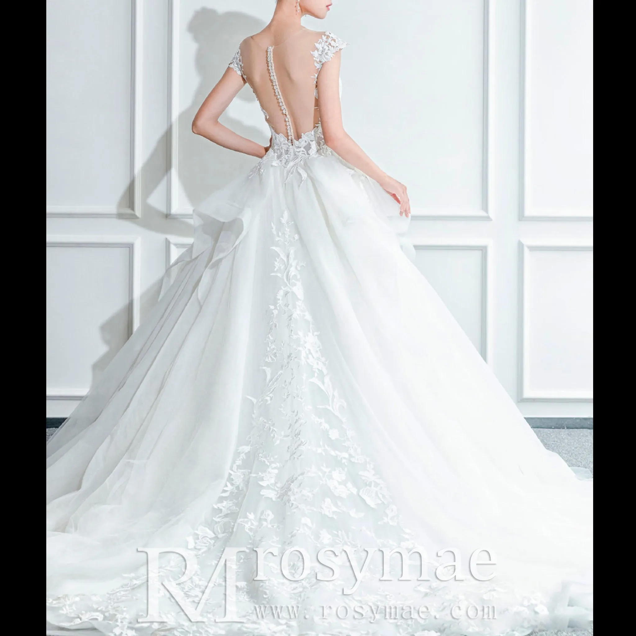 Sheer Neckline Ball Gown Wedding Dress with Capped Sleeve